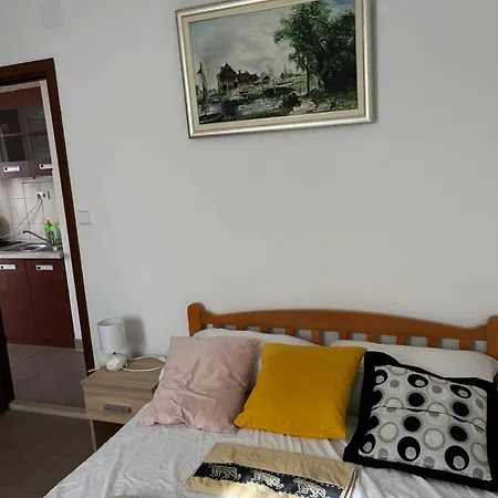 Apartamento With A Parking Space Nemira, - 21891